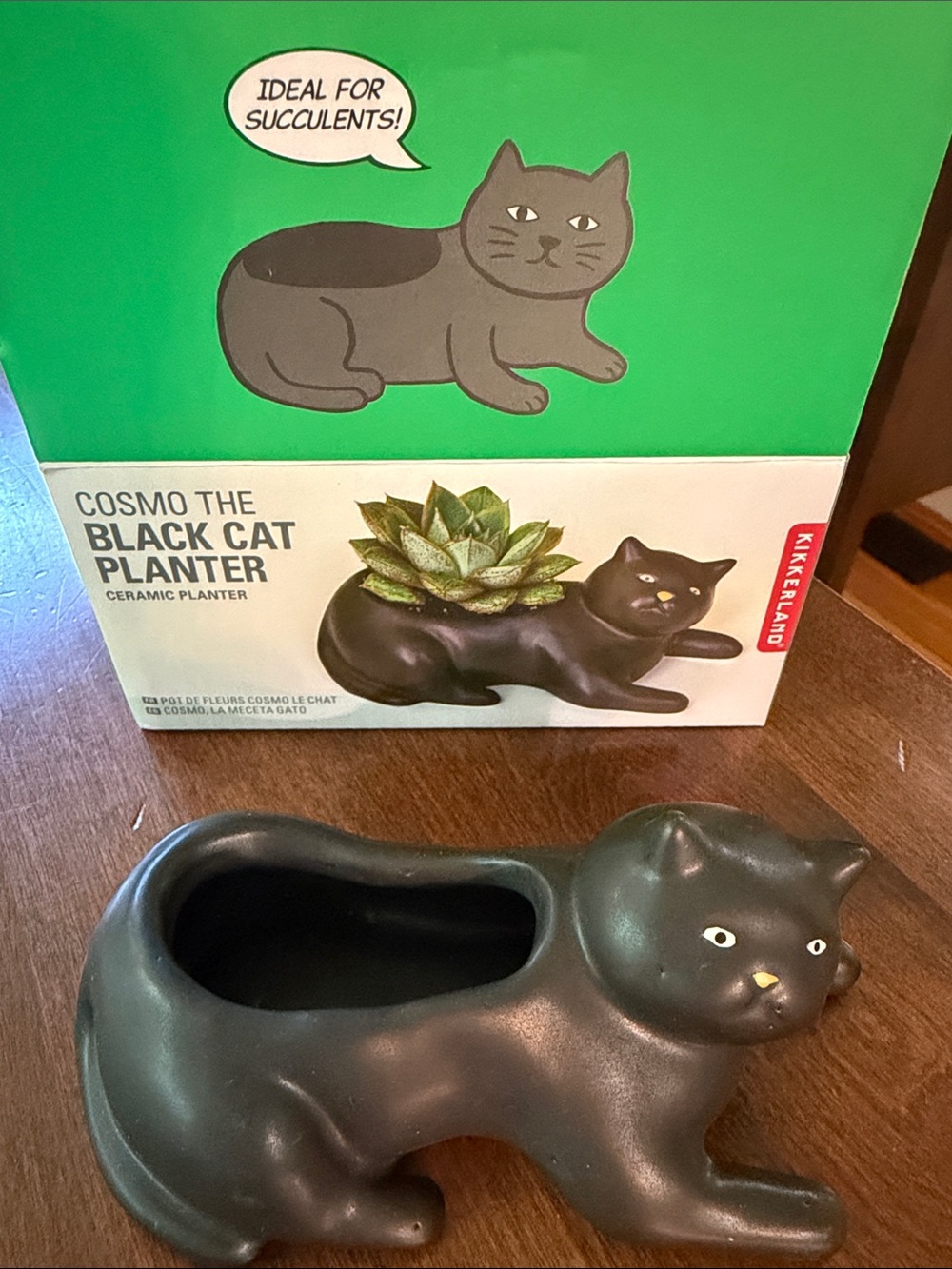 Kikkerland Black Ceramic Cosmos Cat Planter with Yellow Eyes